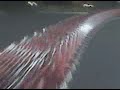 all them carts pt 2