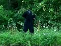 FISHY BIGFOOT FOOTAGE