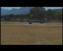 track morelia 2008