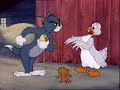 tom end jerry احمد
