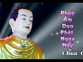 Thanh Niên Phụng Sự Xã Hội - Thích Nhật Từ