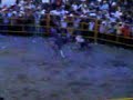 6 el rayo del sur