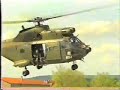 Puma crash