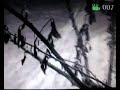 Cava Chiaiano: i militari interrano rifiuti speciali! parte1