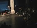 RDZ - Live @ Waterfront