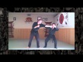 Kamae Lesson - Ninjutsu - Bujinkan - Basics of Ninja Training Video Blog