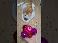 뭉치스타 #reversevideo #marblerunandmore #cat #catvideos #reverse