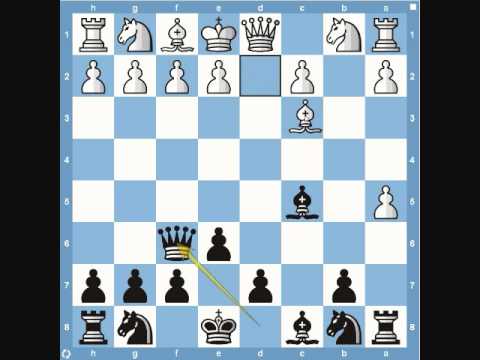 chess chess