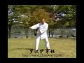 Shi De Jian ? ??? Shaolin Luohan Protect Body Hammers ?? ????