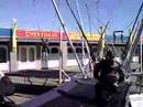 Bungee