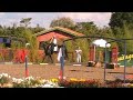 Lusitano Zealand do Nico