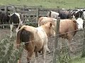 When You Gotta Go You Gotta Go....and Go and Go and GO !