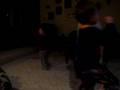 videos de Three Monkies Dancing