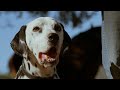 Budweiser Commercial (2009) (Television Commercial)