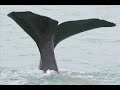 Stunning New Zealand - Slideshow