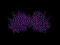 Malodorous - Debauched Purification