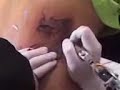 Tattoo Pamy