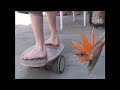 Indo Boardin' Vol. 2