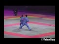 Viet Vo Dao Démo Bercy Self Defense