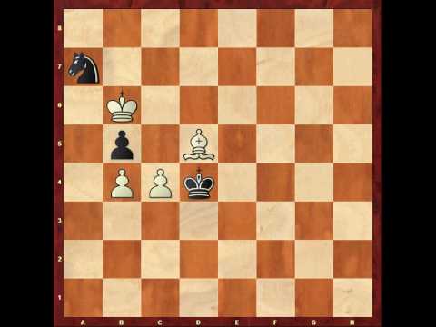 chess computer