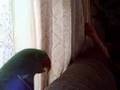 UN  DOMINGO   POR LA TARDE