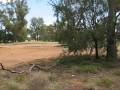 Mayhem in coonamble