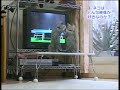 Cats watching ping pong