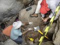 Escavações Arqueológicas na Paraíba Escavações Arqueológicas na Paraíba