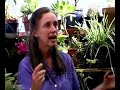 Kathleen Harrison on Shamanism Kathleen Harrison on Shamanism