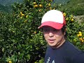 アグリ南四国 愛媛みかんの木オーナー制 生産者中野浩史さん