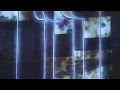 eleven tigers - 111