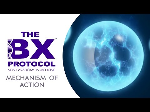 BX Protocol: Mechanism of Action (Module 3)