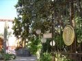videos de Hotel Terme La BAGATTELLA Forio d'Ischia www.labagattella.it  www.laurotour.com  www.alilauro.it