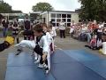 Another Martial Arts Demo