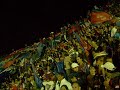 SAN LORENZO 100 A�OS