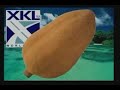 SkyFruit  Atherosclerosis Heart and Circulation