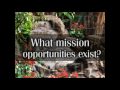 What Mission Opportunities Exist