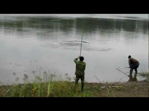 ловля карпа в красноярском крае ловля карпа в красноярском крае