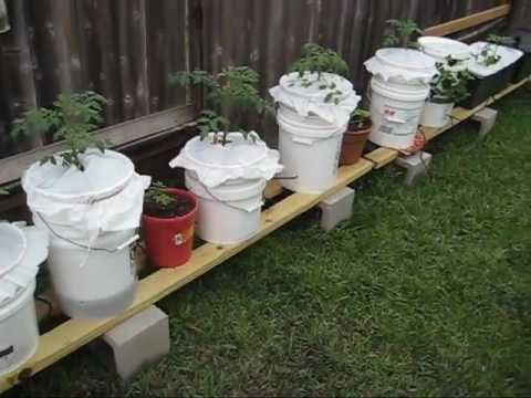 how to fertilize self watering containers