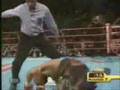 floyd mayweather highlight