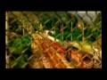videos de MED ZIANI & NO BLUES - Mani Ma Thdjid