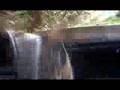Quicksilver-Surfing