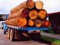 Las venas abiertas de America Latina