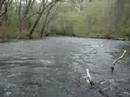 Cadron Creek River Madness pt. 3