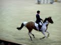 Addington Equestrian Centre Opening - John Whitaker