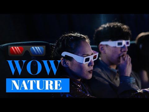 Nature 3d anaglyph Full HD 1080 - YouTube