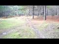 Wipe out at Woodhill...