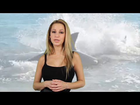 Shark Chokes To Death On A Sea Lion