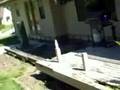 Bottle rocket nut shot