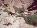 Wadi gang